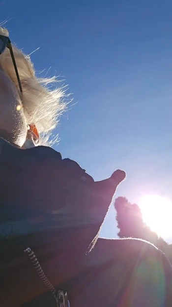 Spectacular moment from "milf looking for a cock in the countryside. I find her in a barn sucks her fucks me and empties"