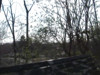 Pratinjau video