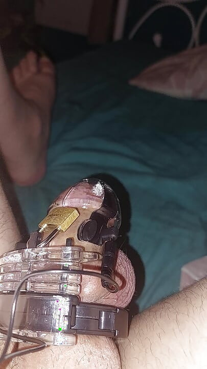 Estim Chastity