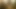 - 135.mp4