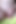 Big Cock Cumshot