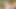 毛深いまんこLeveah Phatのお尻セックス