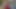 Yanıp sönen onu traş kedi için film ekibi alır onu the