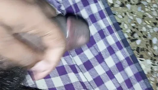 Hintli karım anal ile amcık deliğini sikiyor