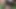 1pitw.mp4