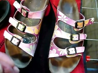 старое видео, разноцветные Papilio Arizona от Birkenstock