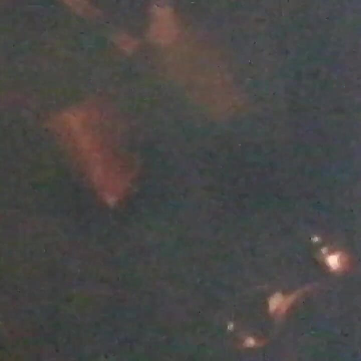 อีตัวบนท้องถนน