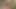 ワンダー巨乳女装犯と精液、あなたはそれを試してみる必要があります