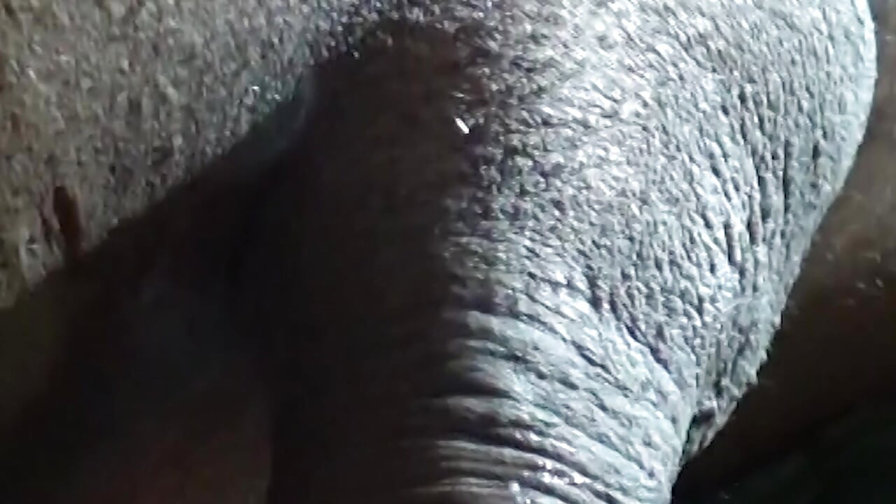 Brincando em casa com minha irmã acaba em