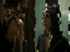 Pratonton Video