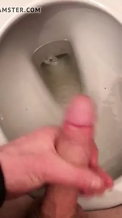 Awesome hotel toilet quick wank