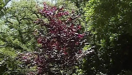 Interrassische Schwesternschaftsparty am pool