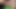 はつらつとした胸を持つかなりブルネットは、幸運な男のロッドにフェラチオを与えます