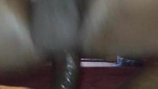 Sri lanka con trai cưỡi vòi nước bareback