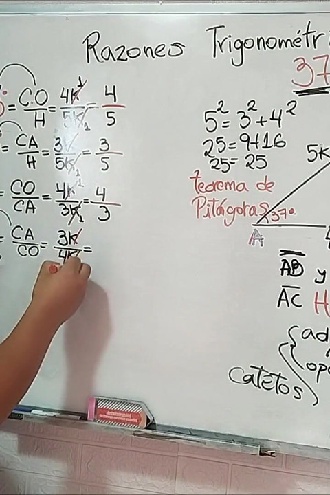 17 Trigonometry: 53 Angle - Trigonometric Ratios