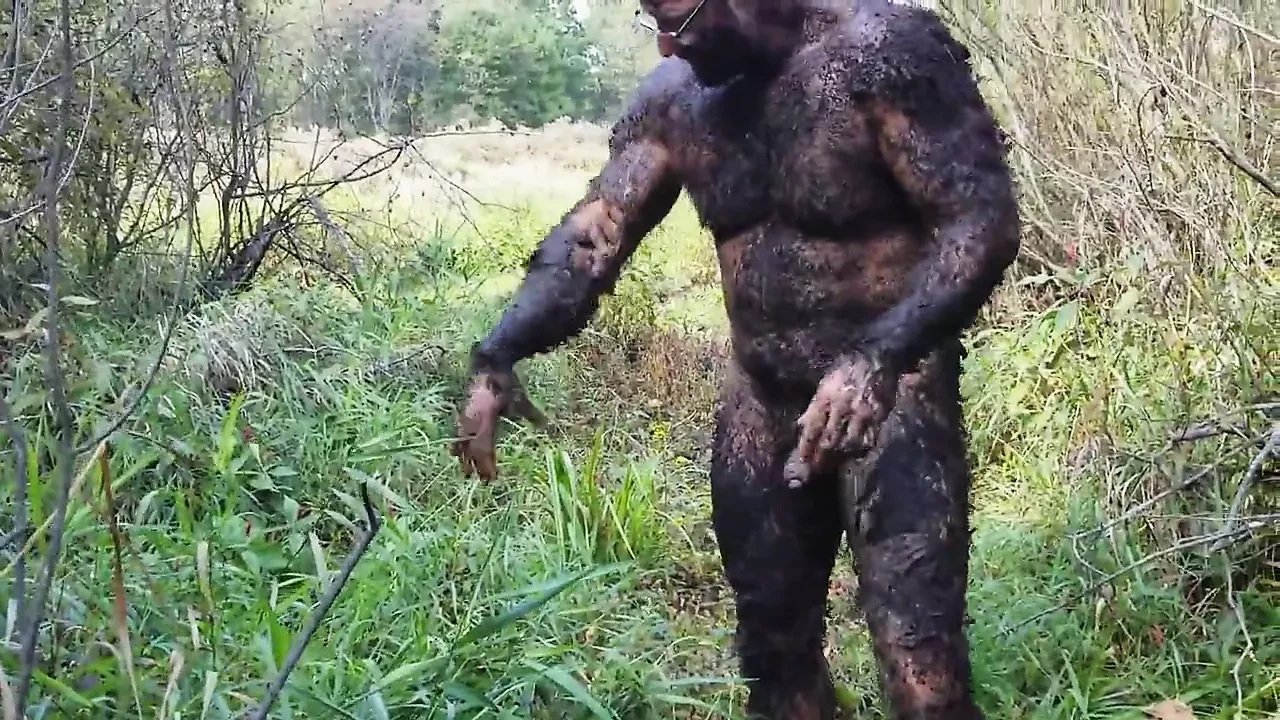 Peat Bog 1.mp4