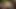 Nymphomaniacs in the Forest. GF Roughly Fucked in the Ass