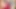 Busty amigo kız büyük testileriyle oynuyor - sarmaşık flores - eklendi: 15 saniye önce