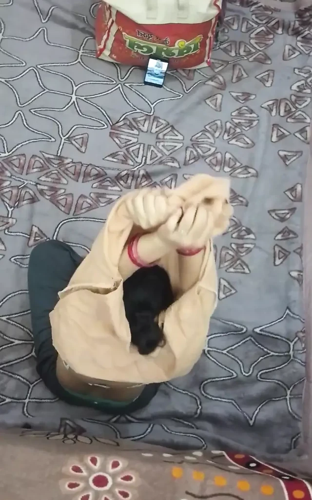 College Girl Shows Pussy to Her Teacher