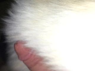 Rubbing Fox Fur Coat on Cock