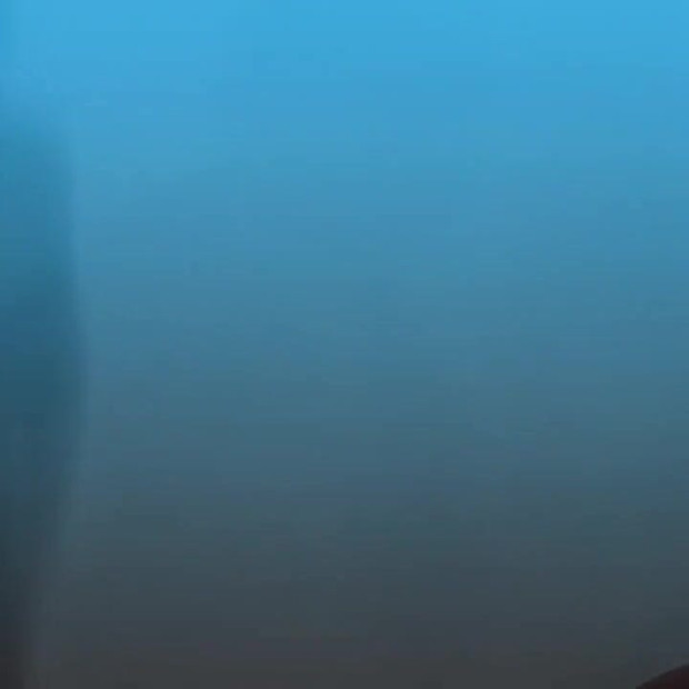 Excellent Blowjob