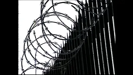 Алекс и его друзья (фильм)