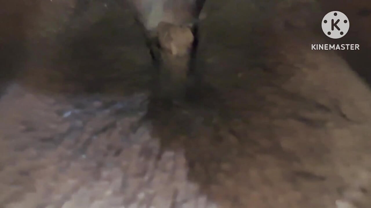 Novia Y Novio Por Primera Vez