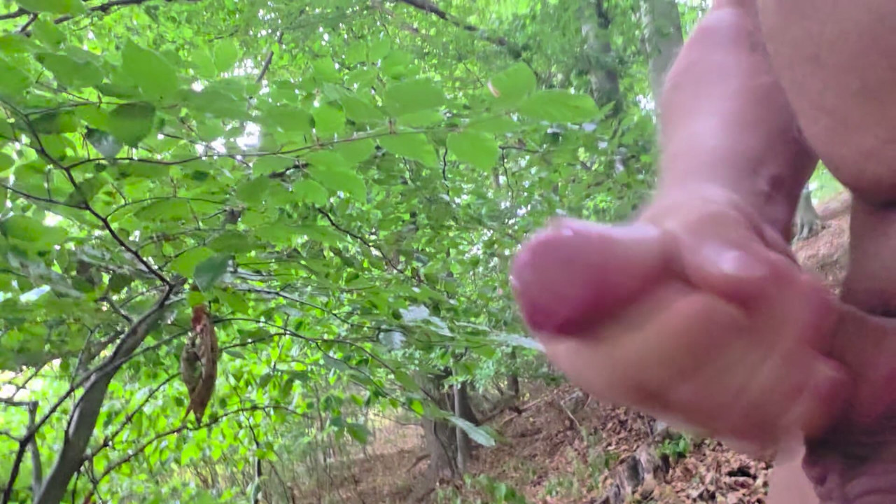 Horny in the forest