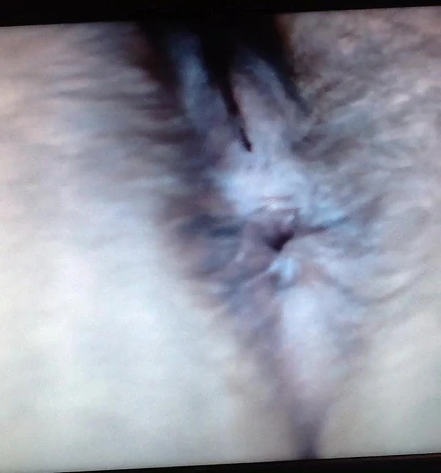 Hairy bush cam girl spreads ass and pussy