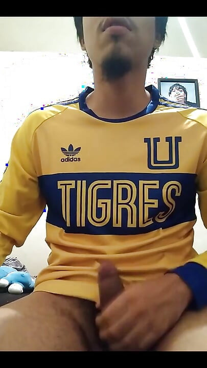 Hajde Tigres, vraćam se bogat.