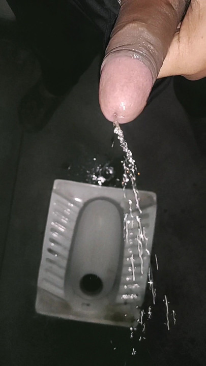 Pissing in the Toilet
