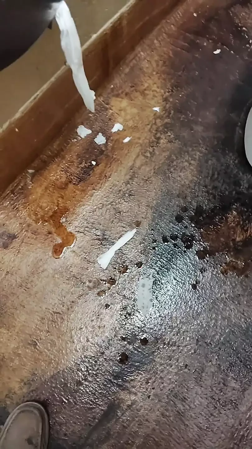 Pissa på offentlig toalett överallt