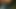 ワイルドファンタジー7