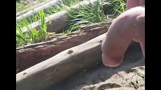 Slow motion Johnholmesjunior toont enorme zachte pik op het naaktstrand slow motion