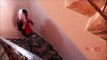 Pratinjau video