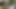 Küçük memeli güzel porno yıldızı Teagan Summers sert sikişiyor