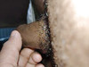 Anteprima video