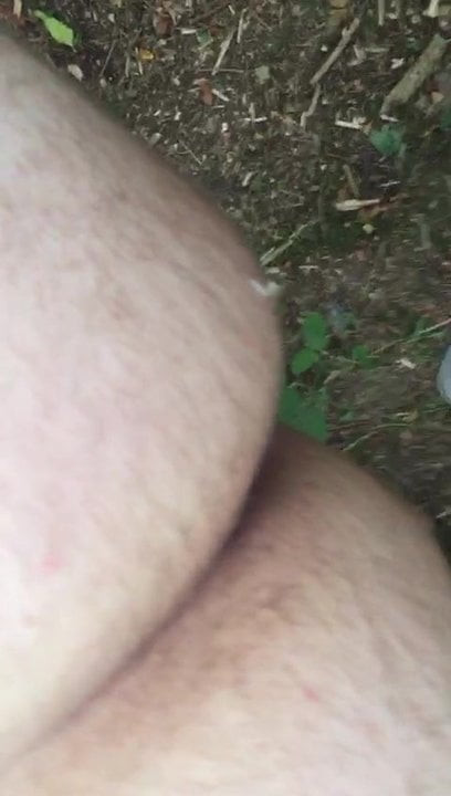 Spass im Wald