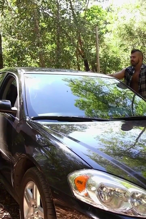 ディープウッズ・ドミネーション 第1章