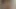 Busty milf Vanessa rubs her hairy pussy, upscaled to 4K