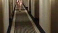 wife naked walking in hotel