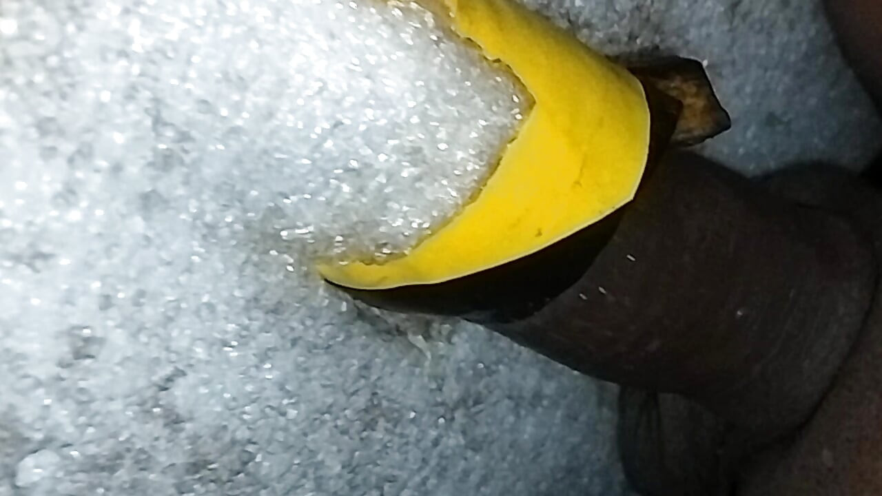 Beauty Cock