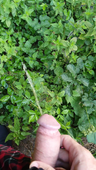 Pissing in the field