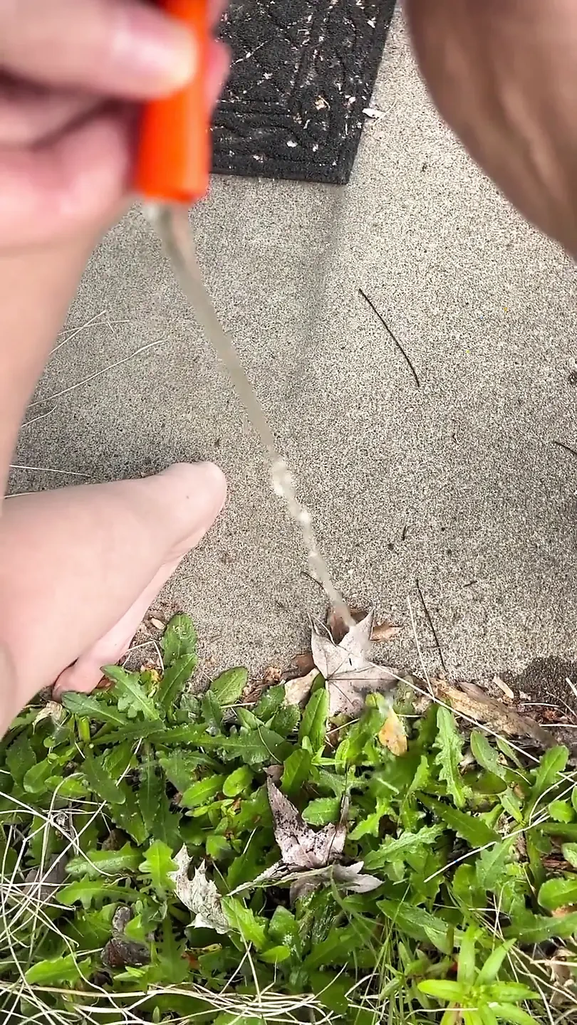 在外面通过导尿管撒尿