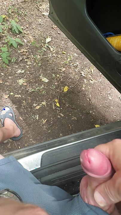 Masturbação na floresta de Phalempin