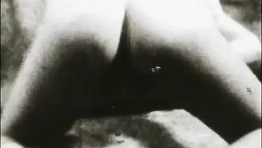 Bermain dengan kelinci