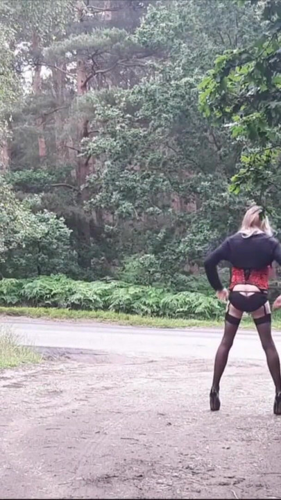 Must-share moment from "Tranny Stripping by the Roadside"