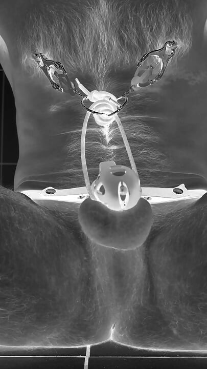Multiple ruined orgasms in chastity cage with 30cm long penis plug