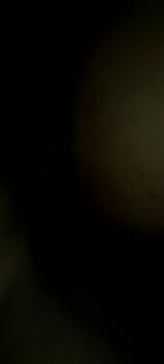 Desi Indian assamese bhabi dogy style sex with boyfriend dick love