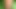 young colombian porn with very big penis